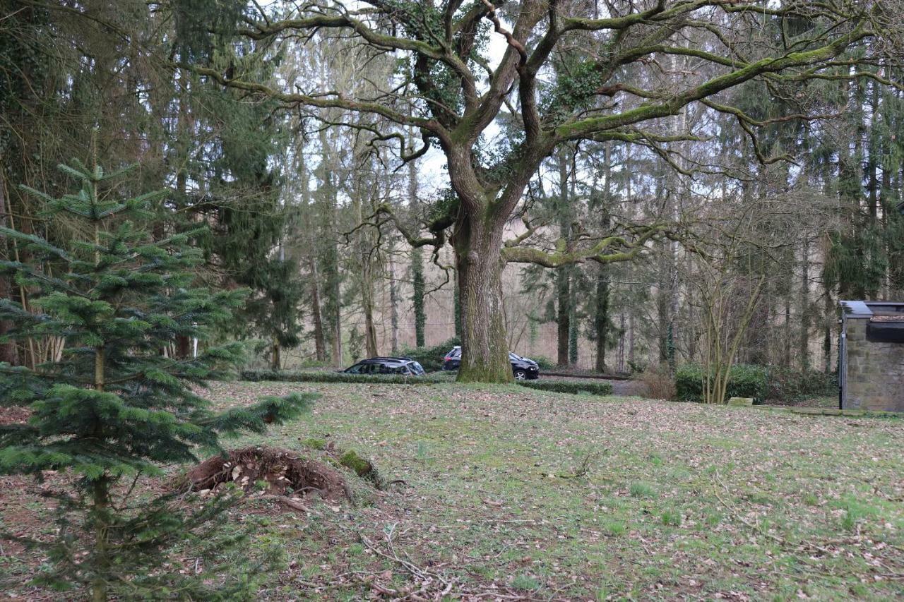 Vila Le Portail Des Ardennes Nassogne Exteriér fotografie